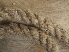 Hemp Fact Sheet – Uses and History Hemp Fact Sheet – Uses and History