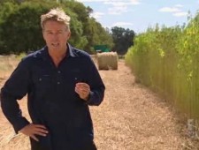 Hemp on ABC Landline Hemp on ABC Landline
